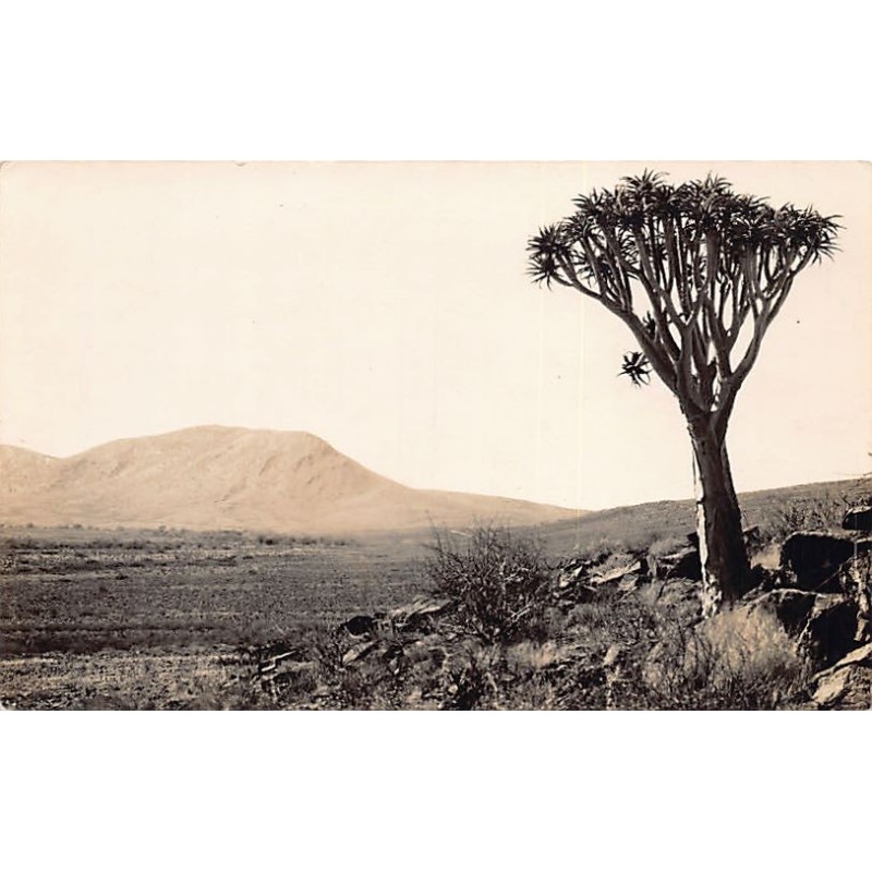 Rare collectable postcards of Namibia. Vintage Postcards of Namibia