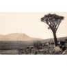 Rare collectable postcards of Namibia. Vintage Postcards of Namibia
