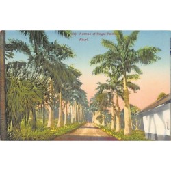 Rare collectable postcards of Nigeria. Vintage Postcards of Nigeria