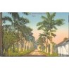 Rare collectable postcards of Nigeria. Vintage Postcards of Nigeria