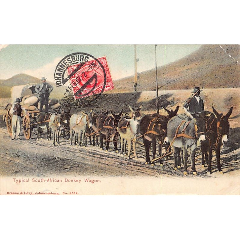 Rare collectable postcards of South Africa. Vintage Postcards of South Africa