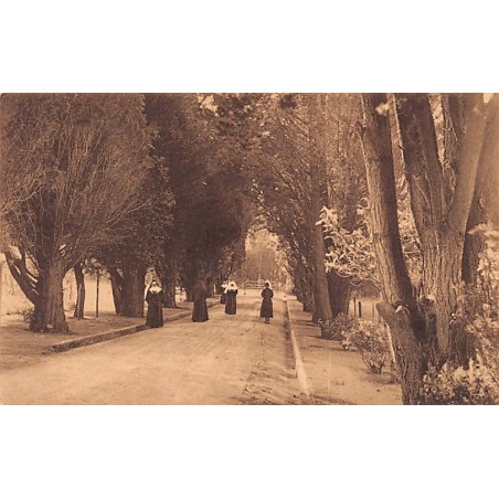 Rare collectable postcards of South Africa. Vintage Postcards of South Africa