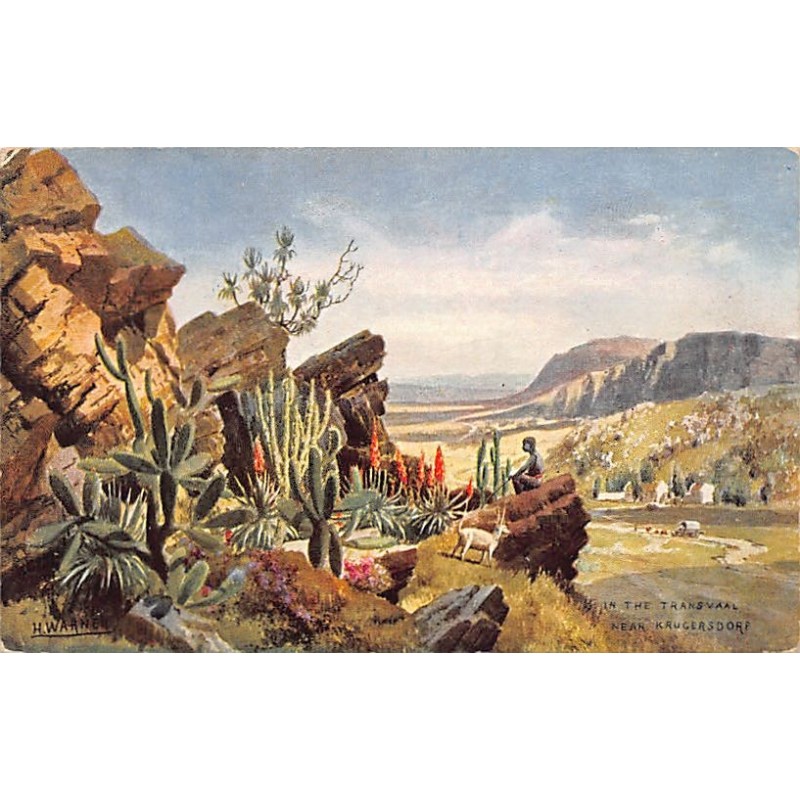 Rare collectable postcards of South Africa. Vintage Postcards of South Africa