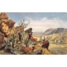 Rare collectable postcards of South Africa. Vintage Postcards of South Africa
