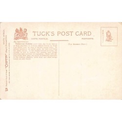 Rare collectable postcards of South Africa. Vintage Postcards of South Africa
