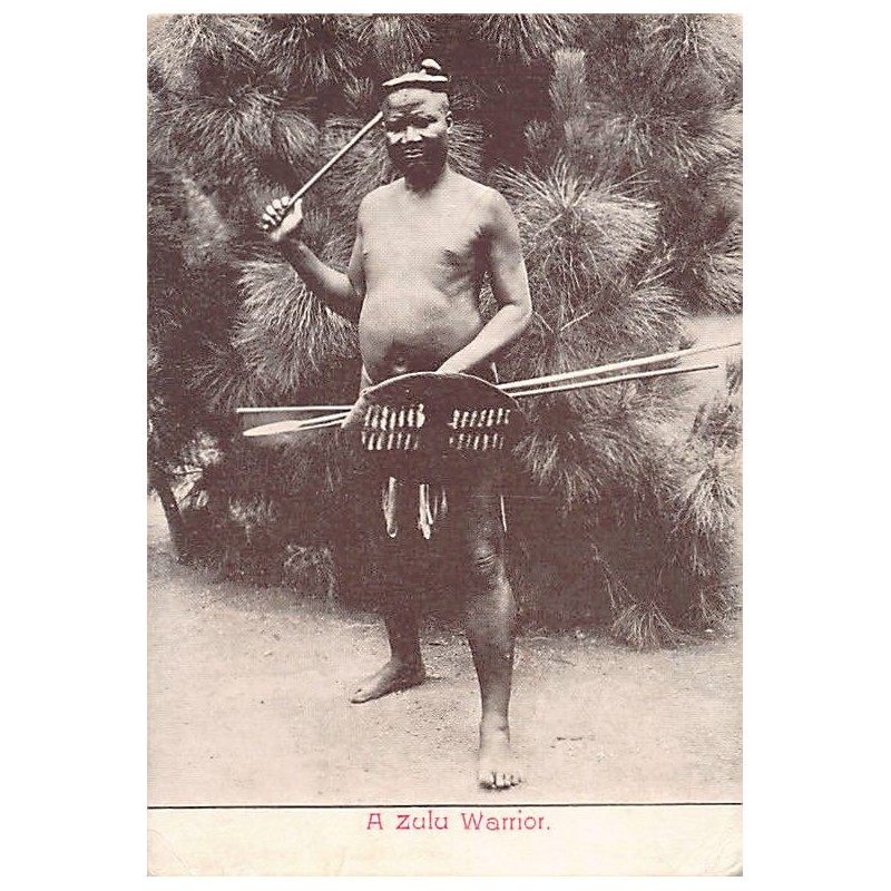 Rare collectable postcards of South Africa. Vintage Postcards of South Africa