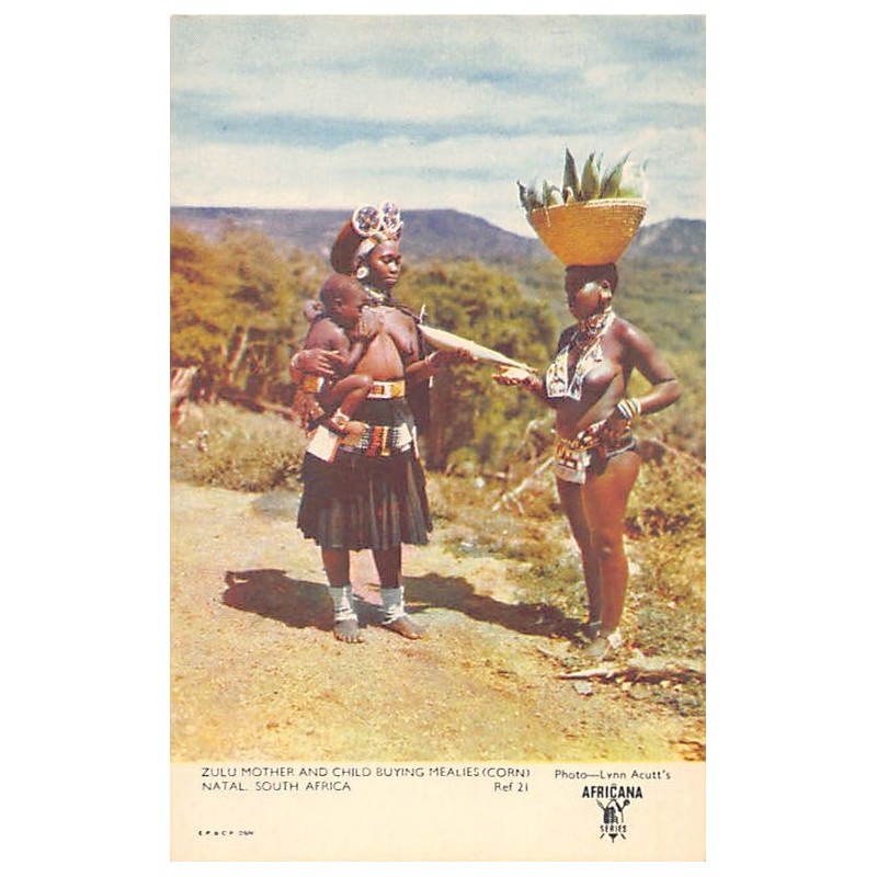 Rare collectable postcards of South Africa. Vintage Postcards of South Africa