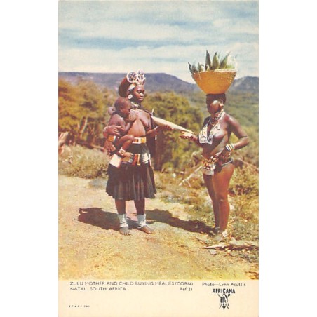 Rare collectable postcards of South Africa. Vintage Postcards of South Africa