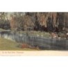 Rare collectable postcards of South Africa. Vintage Postcards of South Africa