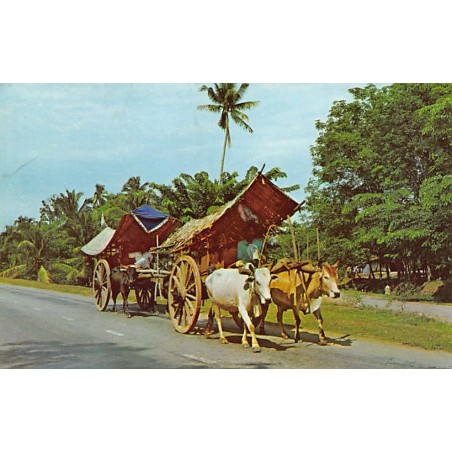 Rare collectable postcards of Malaysia. Vintage Postcards of Malaysia