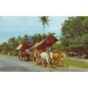 Rare collectable postcards of Malaysia. Vintage Postcards of Malaysia