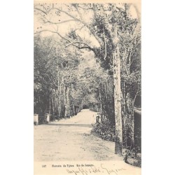 Rare collectable postcards of Brazil. Vintage Postcards of Brazil