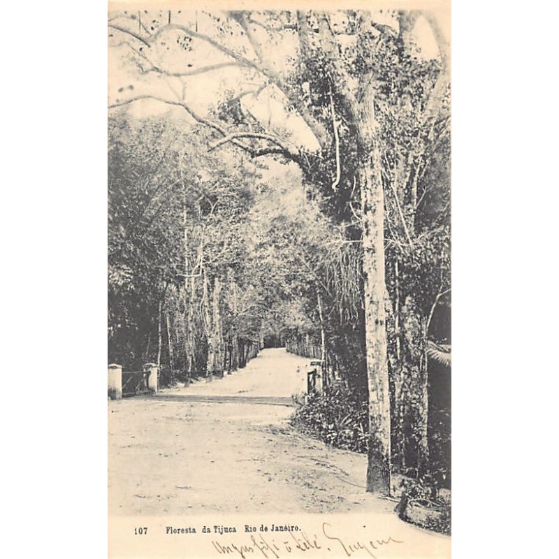 Rare collectable postcards of Brazil. Vintage Postcards of Brazil