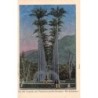 Rare collectable postcards of Brazil. Vintage Postcards of Brazil