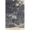 Rare collectable postcards of Brazil. Vintage Postcards of Brazil