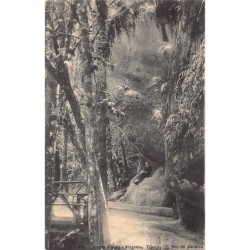 Rare collectable postcards of Brazil. Vintage Postcards of Brazil