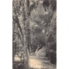 Rare collectable postcards of Brazil. Vintage Postcards of Brazil