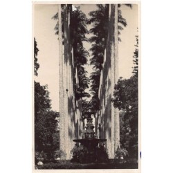 Rare collectable postcards of Brazil. Vintage Postcards of Brazil