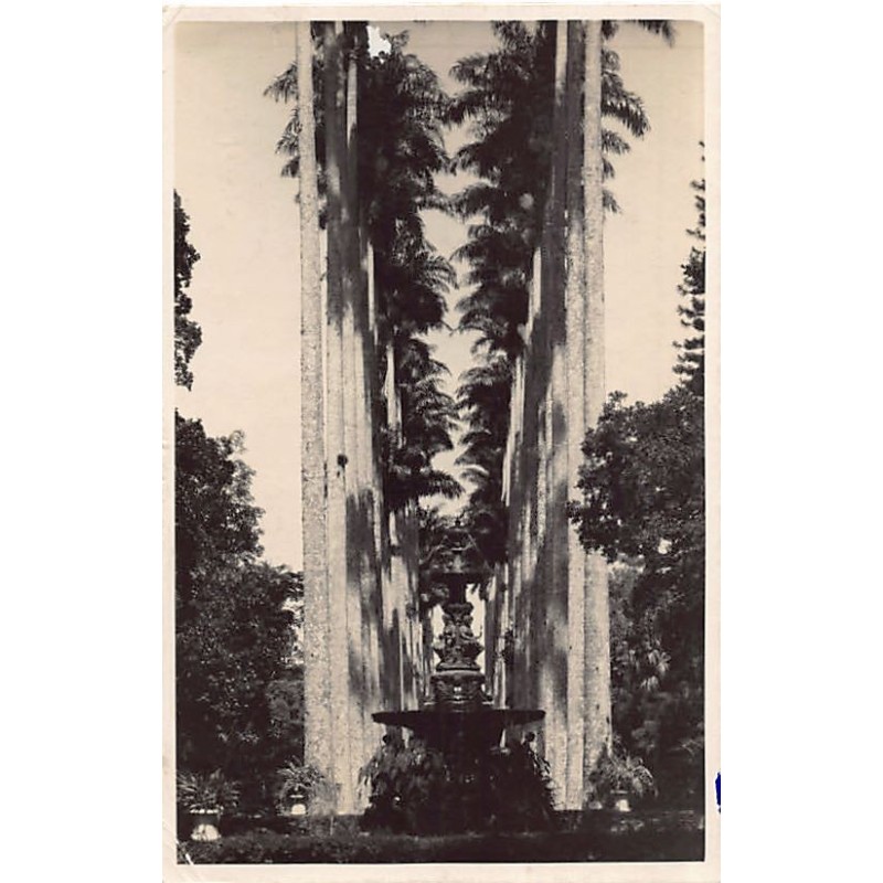 Rare collectable postcards of Brazil. Vintage Postcards of Brazil