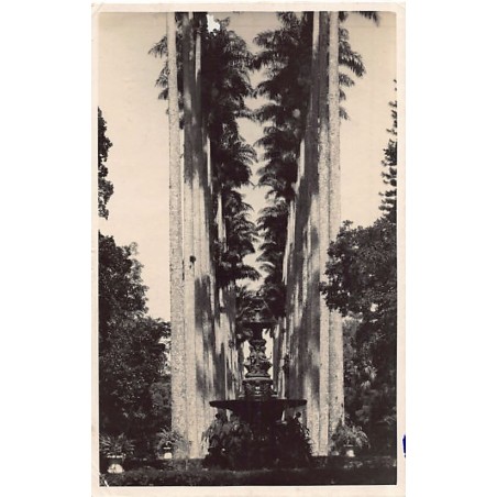 Rare collectable postcards of Brazil. Vintage Postcards of Brazil