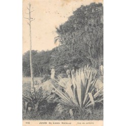 Rare collectable postcards of Brazil. Vintage Postcards of Brazil