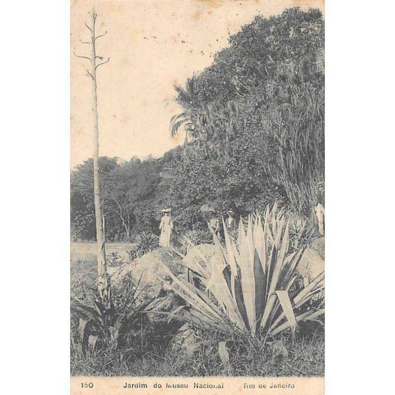Rare collectable postcards of Brazil. Vintage Postcards of Brazil