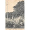 Rare collectable postcards of Brazil. Vintage Postcards of Brazil