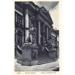 Rare collectable postcards of Brazil. Vintage Postcards of Brazil