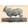 Rare collectable postcards of Brazil. Vintage Postcards of Brazil