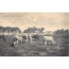 Rare collectable postcards of Brazil. Vintage Postcards of Brazil