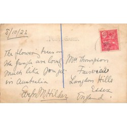 Rare collectable postcards of Brazil. Vintage Postcards of Brazil