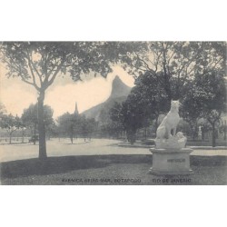 Rare collectable postcards of Brazil. Vintage Postcards of Brazil