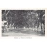 Rare collectable postcards of Brazil. Vintage Postcards of Brazil