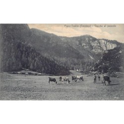 Rare collectable postcards of Italy. Vintage Postcards of Italy