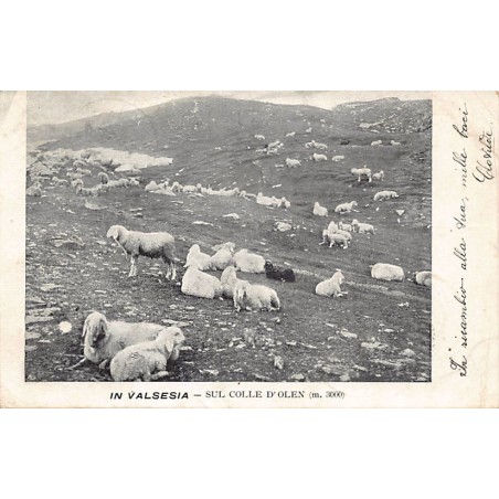 Rare collectable postcards of Italy. Vintage Postcards of Italy