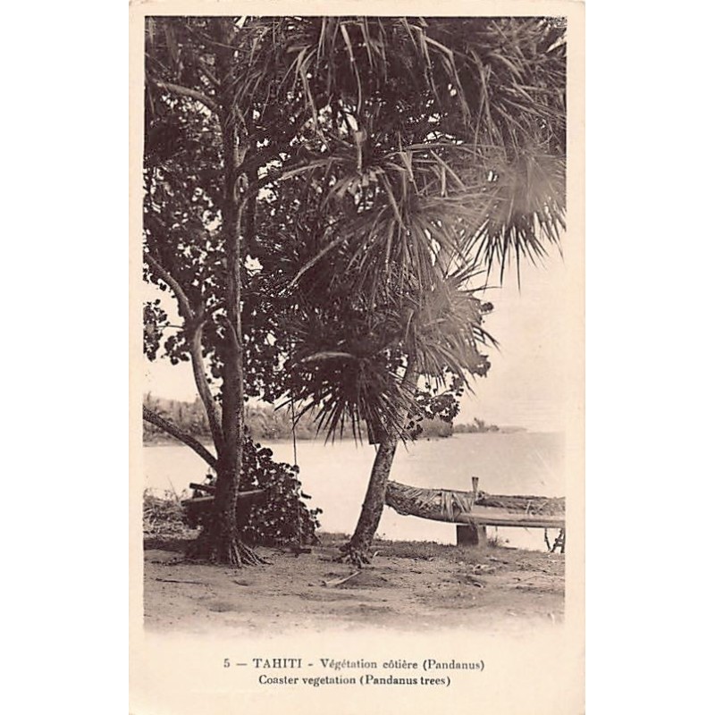 Rare collectable postcards of FRENCH POLYNESIA. Vintage Postcards of FRENCH POLYNESIA