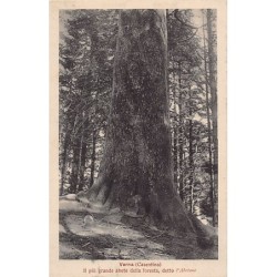 Rare collectable postcards of Italy. Vintage Postcards of Italy
