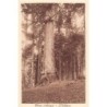 Rare collectable postcards of Italy. Vintage Postcards of Italy