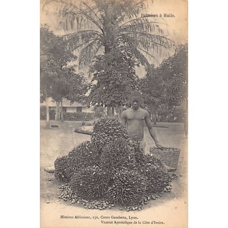 Rare collectable postcards of CÔTE D'IVOIRE. Vintage Postcards of CÔTE D'IVOIRE