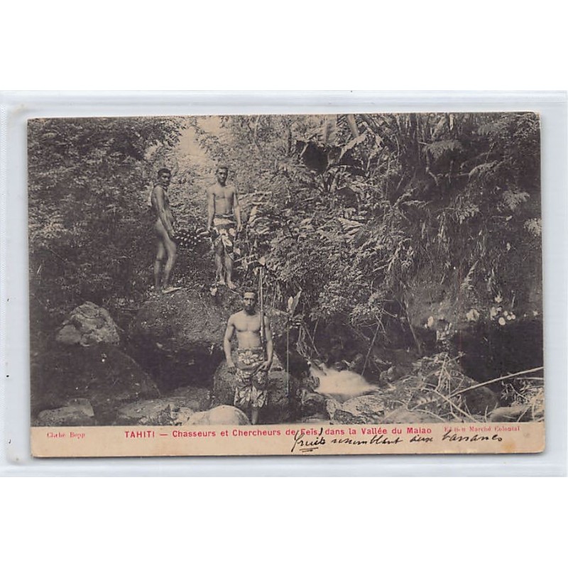 Rare collectable postcards of FRENCH POLYNESIA. Vintage Postcards of FRENCH POLYNESIA