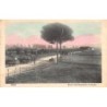 Rare collectable postcards of Italy. Vintage Postcards of Italy