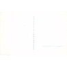 Rare collectable postcards of Italy. Vintage Postcards of Italy