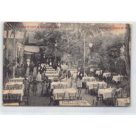 Rare collectable postcards of Hungary. Vintage Postcards of Hungary