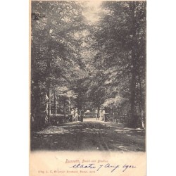 Rare collectable postcards of Netherlands. Vintage Postcards of Netherlands