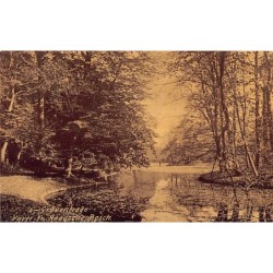Rare collectable postcards of Netherlands. Vintage Postcards of Netherlands