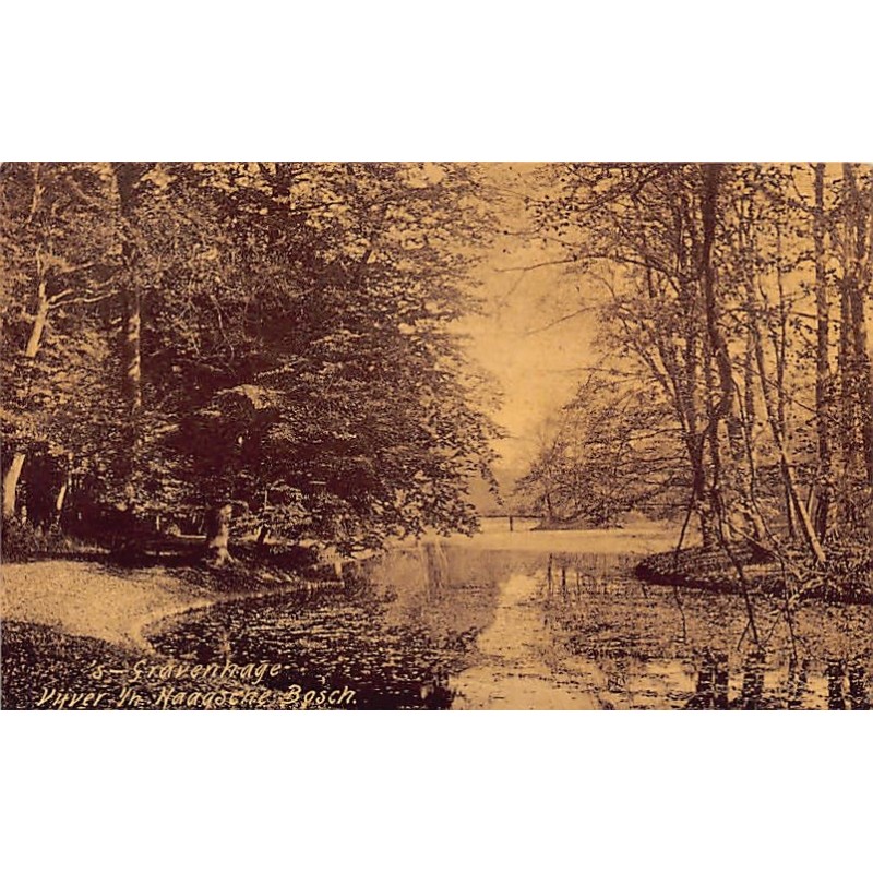 Rare collectable postcards of Netherlands. Vintage Postcards of Netherlands