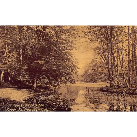 Rare collectable postcards of Netherlands. Vintage Postcards of Netherlands