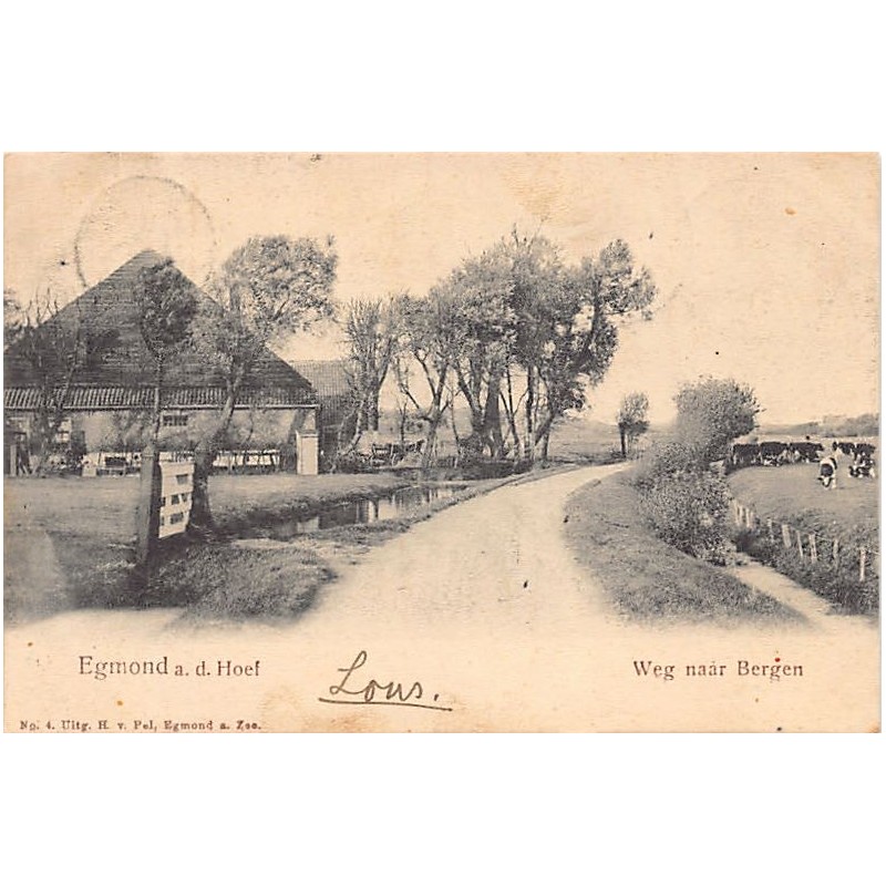 Rare collectable postcards of Netherlands. Vintage Postcards of Netherlands