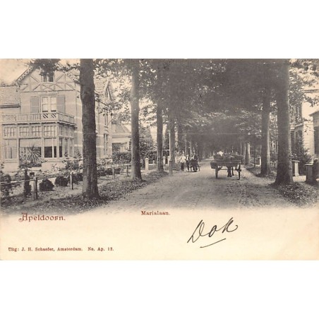 Rare collectable postcards of Netherlands. Vintage Postcards of Netherlands