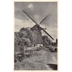 Rare collectable postcards of Netherlands. Vintage Postcards of Netherlands